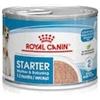Royal Canin Starter Mother And Baby Dog Lattina 195gr Royal Canin Royal Canin
