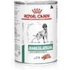 Amicafarmacia Royal Canin cibo umido per cani DIABETIC Special 410 g