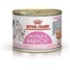 Amicafarmacia Royal Canin Mother And Baby Cat Umido Per Gatti Morbido Pate' Lattina 195g