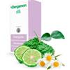 POLIFARMA BENESSERE Srl Bergamon Detergente Intimo Anti Secchezza 300 ml - Detergente Intimo Idratante