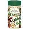 CAVALLINI & CO. CAVANILLI & CO.- House Plants 1,000 Piece Puzzle, Multicolore, 1000, PZL/HP
