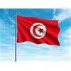 OEDIM Bandiera della Tunisia | 150 x 85 cm | Rinforzata e con impunture | Bandiera con 2 occhielli metallici e resistente all'acqua