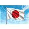 OEDIM Bandiera del Giappone | 150 x 85 cm | Rinforzata e con impunture | Bandiera con 2 occhielli metallici e resistenti all'acqua