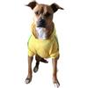 Ducomi Felpa Cappuccio Cane 100% Cotone - Cappotto Cane Taglia Piccola, Media e Grande, da Chihuahua, Bulldog Francese a Labrador, Pitbull, e Amstaff, Comodo Pullover Cani (Giallo, 5XL)