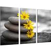 Cuadros Camara Quadro Su Legno, Paesaggio Zen, Relax, Pietre e Fiori, 97 x 62cm, Stampa in qualita fotografica. Ref. 26635