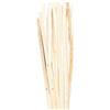 Rayher 6501100 sedia intrecciata/tubo intrecciato, rotolo 125 G, 2,5 mm, multicolore, 1,6 x 1,6 x 0,25 cm