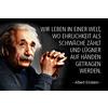 Schatzmix Blechschild Spruch Einstein Wir Leben in Einer Welt Wo Metallschild Deko 20x30 Targa di Metallo da Parete, Lamiera, Multicolore, 20_x_30_cm
