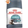 Royal Canin Cat Hairball Care - Sacco Da 10 Kg