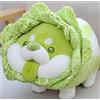 OUKEYI Cuscino morbido in peluche a forma di verdura, con cavolo Shiba Inu Corgi, cuscino morbido per cani con verdure, regalo di peluche per ragazze e ragazzi (40 cm)