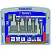 Tivoly 10332370002 FNH04 - Set di 4 frese per noce, HSS, 90°, Hexa, Ø 8,3 a 16,5 mm + 1 porta punta