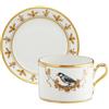 GINORI 1735 TAZZA TE CON PIATTO 220/135 VOLIERE PADDA 1724