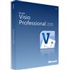 MICROSOFT VISIO PROFESSIONAL 2010 (WINDOWS)