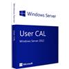 Microsoft WINDOWS SERVER 2012 10 USER CALS