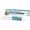 NBF Lanes Gastro Horse 3 - NBF Lanes - Gastro Horse 3 - siringa da 100g - per tre razioni