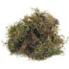 Rayher Muschio Piatto Seccato, Busta 100 G, 8508300