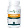 Borragine Erba Vita Erba Vita Borragine in Perle 45 pz