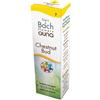 Chestnut Bud Gocce 10 Ml ml orali