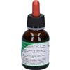Msa Sequoia Gigantea 50 Ml ml Soluzione orale