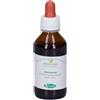 Echinacea Sangalli Echinacea Radice Tintura Madre 100 Ml ml Gocce orali