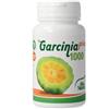 Garcinia Alta Natura-Inalme Alta Natura Garcinia Plus 1000 Integratore Alimentare Compresse 60 pz