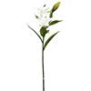DRW Set 8 Lilium Bianchi al Tatto Naturale 80 cm di Altezza, Multicolore, de Alto