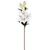 DRW Set di 2 Lilium Bianchi al Tatto Naturale 5 Teste 100 cm, Multicolore