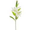 DRW Set di 6 Lilium Bianchi al Tatto Naturale 3 Teste 70 cm, Multicolore