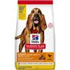 Hill's Science Plan Light Mature 7+ Anni Crocchette Pollo Per Cani Di Taglia Media Sacco 12kg Hill's Hill's