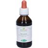 Uva Ursina Foglie Tintura Madre 100 Ml ml Gocce orali