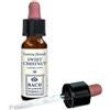 Sweet Chestnut Original 10Ml 10 ml Gocce orali
