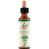 Centaury Bach Orig 20Ml 20 ml Gocce orali
