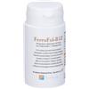 Ferrofol B12 Compresse Rivestite 60 pz