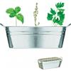 Vaso per piante personalizzato Mix Seeds personalizzate o neutre