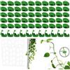 Yoosso 60 PCS Clip per Piante, Parete per Piante Autoadesiva Plant Supports Accessorio per Appendere Piante Rampicanti Ha 6 Fogli Adesivi per Piante Rampicanti Steli Piante da Giardino