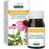 VIS GIORGINI SER-VIS Echinacea Estratto Titolato 60 Pastiglie