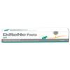 NEXTMUNE ITALY SRL Direne Pasta 15 Ml