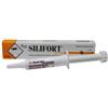 DDFARMA SRL Silifort Pasta Os Siringa 15 G