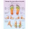 3B Scientific Riflessologia Plantare Tavola Didattica Anatomica su Carta Laminata, Multicolore, 50 x 67 cm