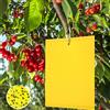 Panngu Trappole Appiccicose 15cm x 20cm MoscheTrappola Trappola per Insetti per Mosca Bianca (100PCS Giallo)