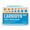 ALFASIGMA SPA CARNIDYN FAST 12 BUSTINE