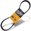CONTITECH 6PK905 EXTRA Cinghia Poly-V