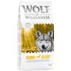 Wolf of Wilderness Adult Sunny Glade - Cervo Crocchette per cani - 12 kg