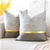 Artscope - Set da 2 Fodere Cuscini Eleganti e Moderni Minimalista in Pelle Dorata con Ondulate Copricuscini per da Letto Divano Auto 60x60cm, Grigio