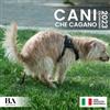 Mihlen International Publishing Cani Che Cagano Calendario 2023: Regalo Divertente Per Donna Uomo Amica Natale Compleanno & Altro Ancora (Con Festività Nazionali In Italia)