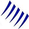 ACCMOS 50 Pezzi Tiro con L'Arco Piuma di Tacchino da 5 Pollici Forma a Scudo Impennata Piume Vere Piuma della Natura Fai da Te Accessori per Frecce (blue1)
