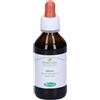 Salvia Sangalli Salvia Foglie Tintura Madre 100 Ml ml Soluzione orale