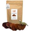 GARNELEN4YOU® Foglie di mandorlo marino, Catappa, mangime a lungo termine e trattamento dell'acqua, confezione ecologica, gamberetti, gamberetti, lumache (10-12 cm, 40 pezzi)