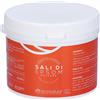 Sali Spazio Ecosalute Sali Di Epsom Polvere 500 g Sale