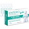 PALADIN PHARMA SpA Enterolife Forte 4 Miliardi Paladin Pharma 20x5ml