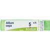 Boiron Allium Cepa Boiron 5CH Medicinale Omeopatico in Granuli multidose, 80 granuli